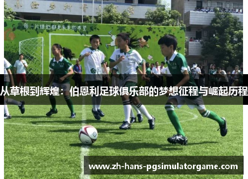 从草根到辉煌：伯恩利足球俱乐部的梦想征程与崛起历程
