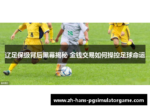 辽足保级背后黑幕揭秘 金钱交易如何操控足球命运