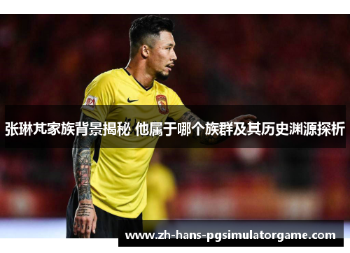 张琳芃家族背景揭秘 他属于哪个族群及其历史渊源探析
