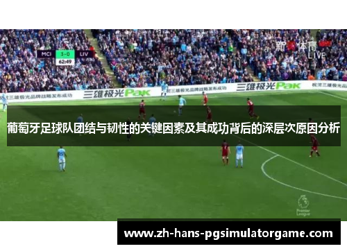 葡萄牙足球队团结与韧性的关键因素及其成功背后的深层次原因分析