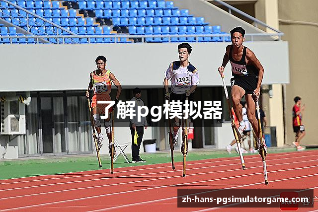 了解pg模拟器